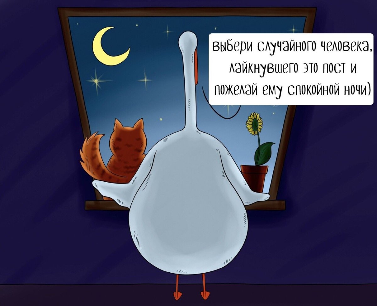 Зимняя ночь в деревне