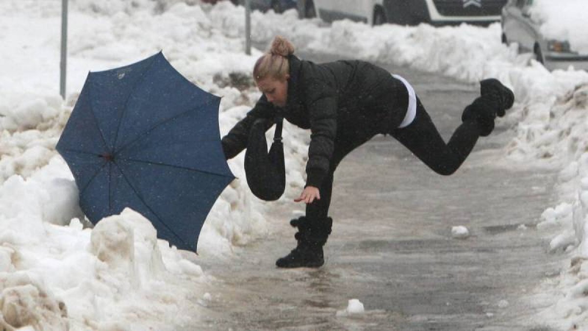 Кошка на льду