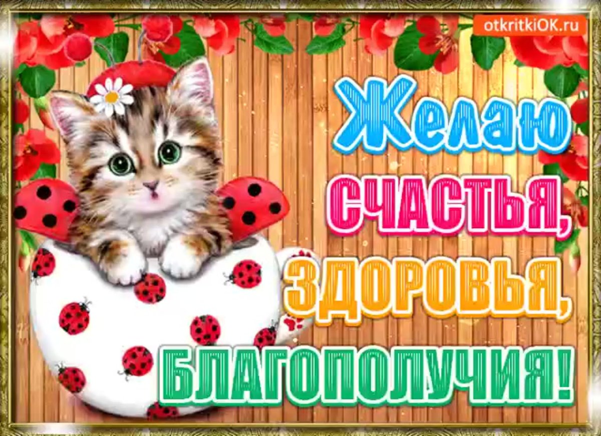 Здоровья счастья благополучия