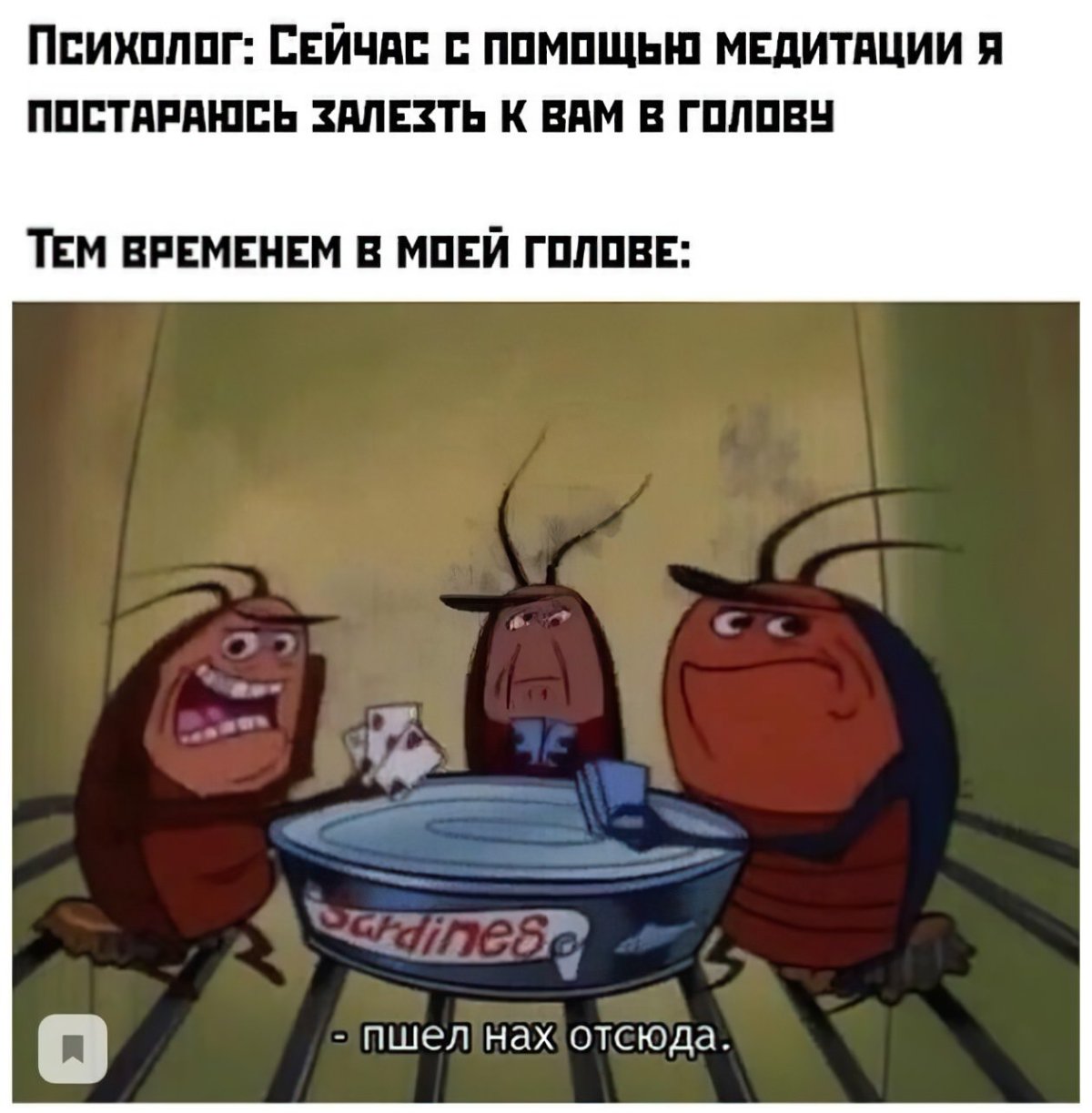 Жук Прусак