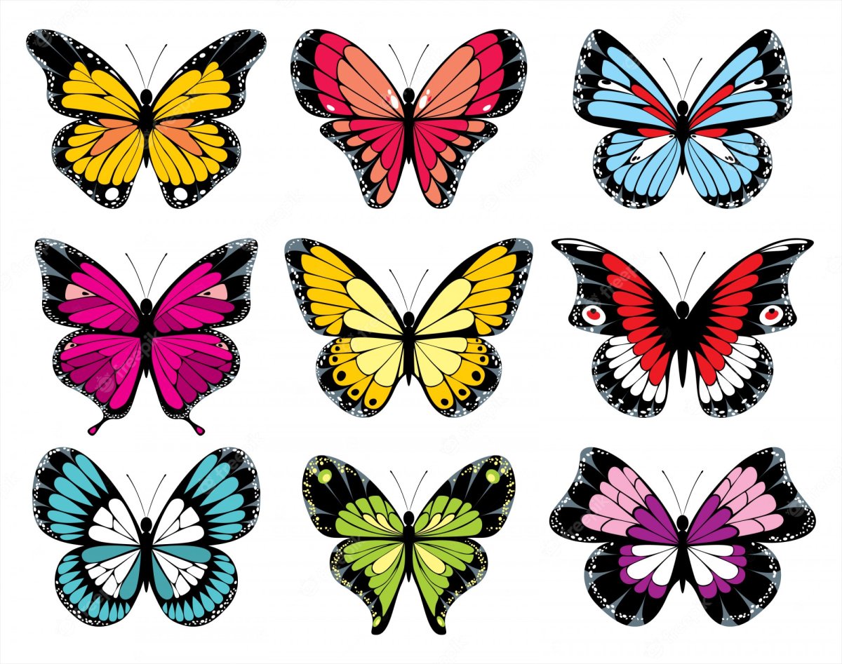 Цветные бабочки для печати
