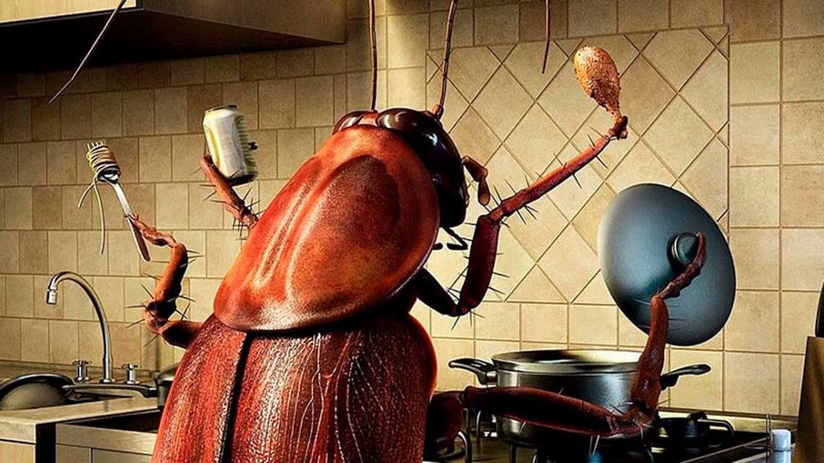 Четыре таракана – это жизнь