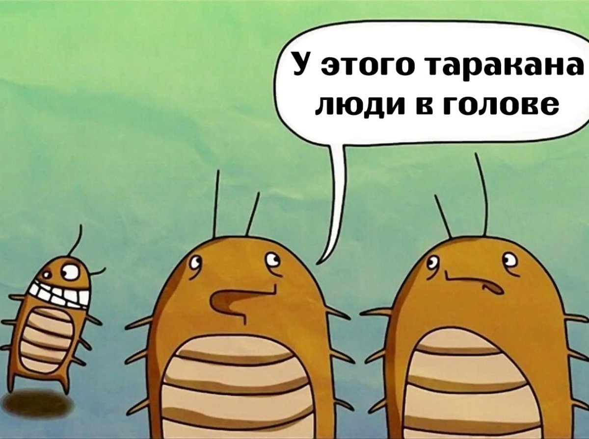 Шутки про тараканов в голове