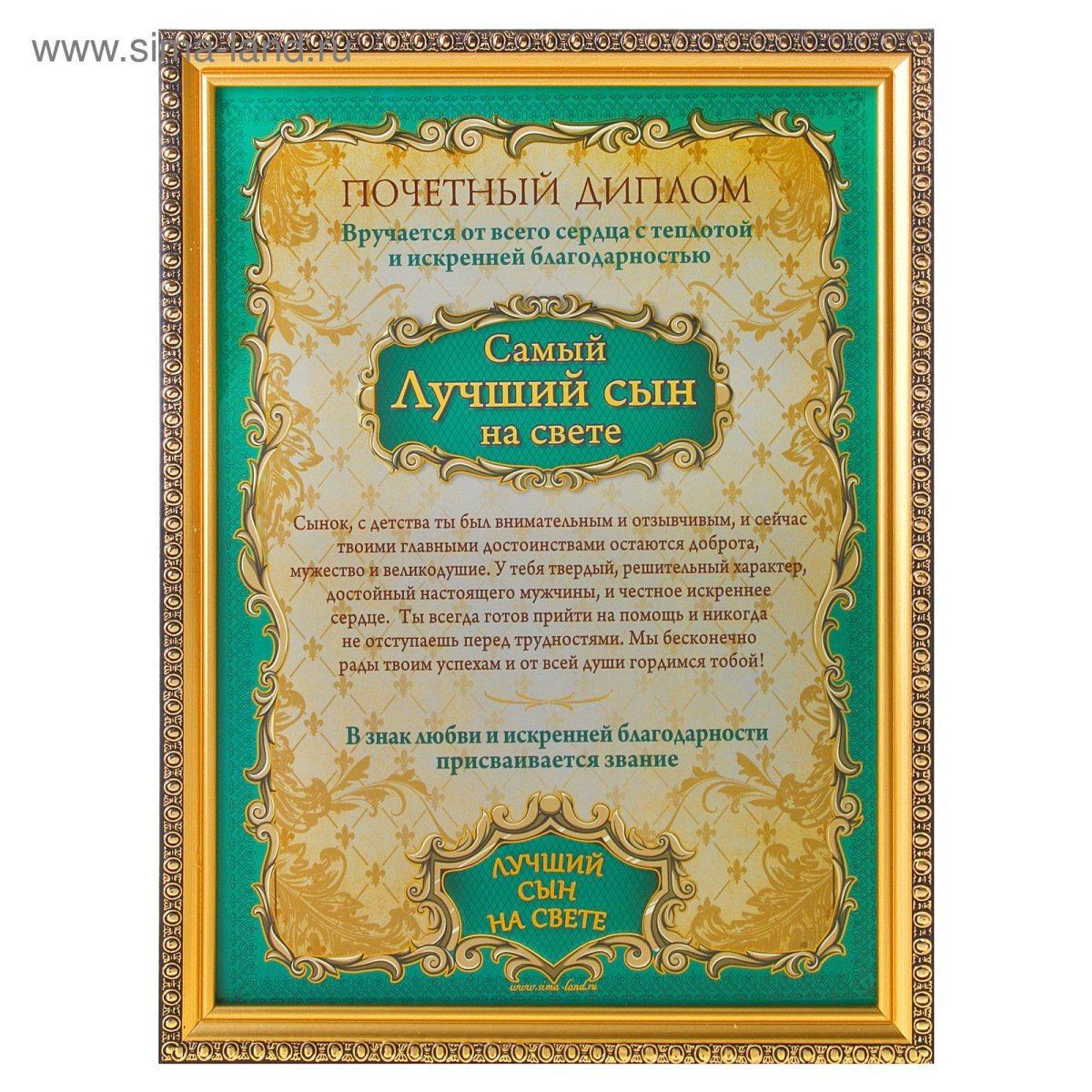 Диплом лучшему сыну