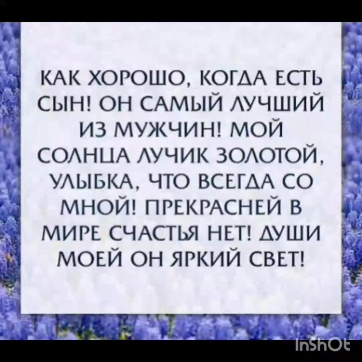 Высказывания про сына