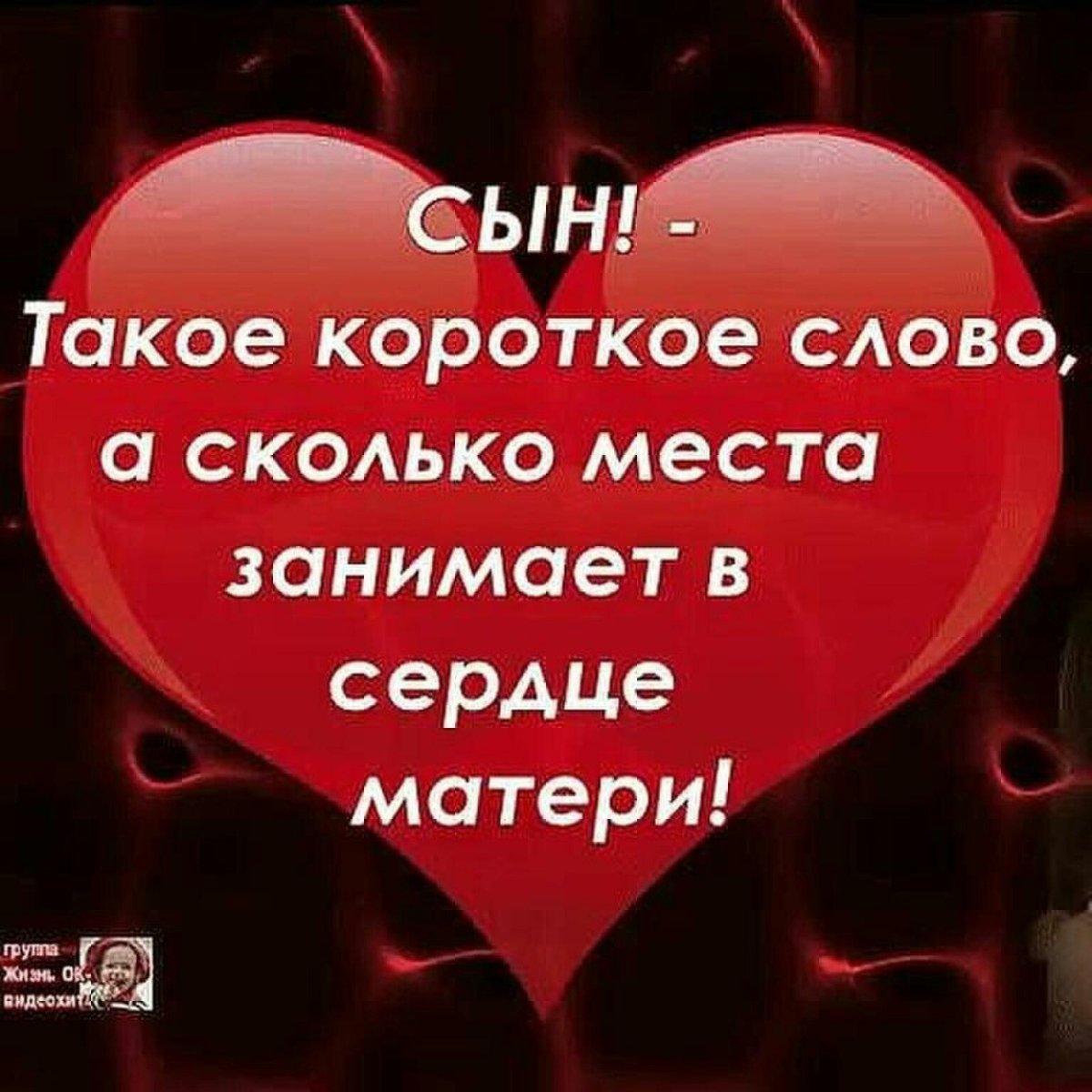 СВН такое короткое слово