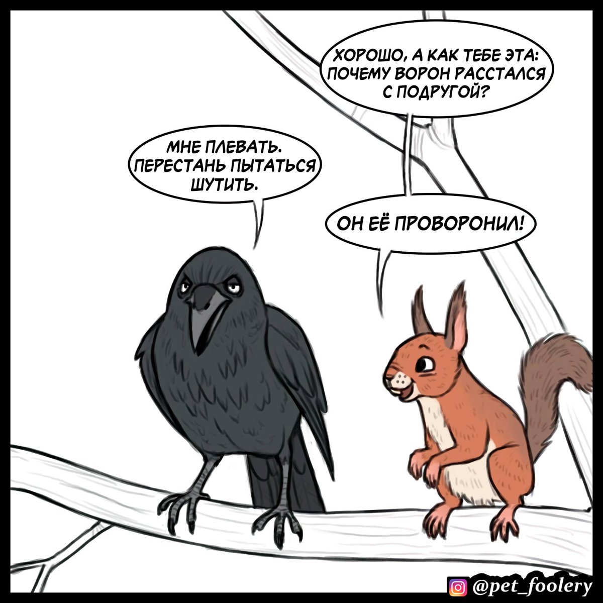 Забавные вороны
