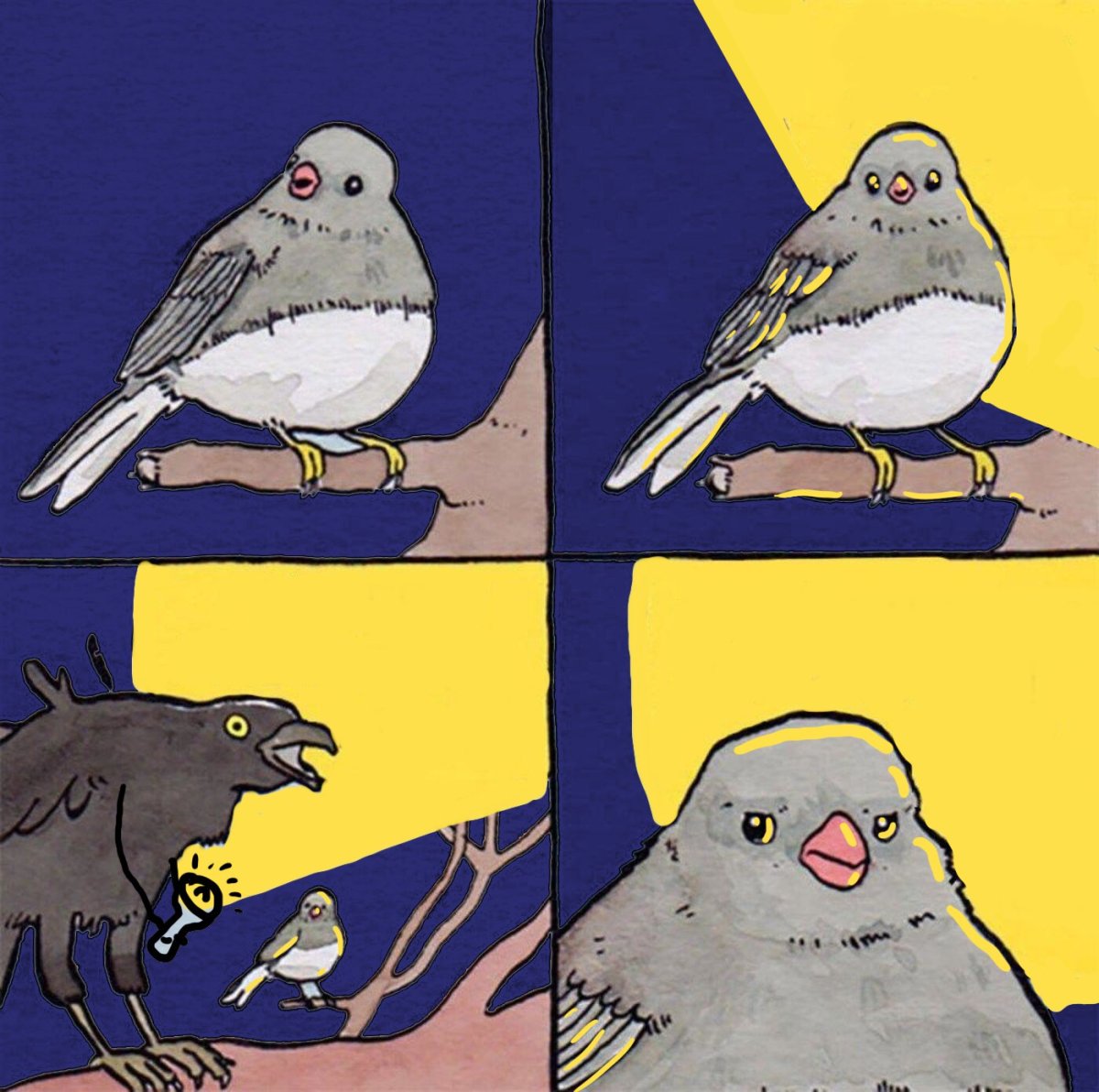 Голубь и ворон Мем