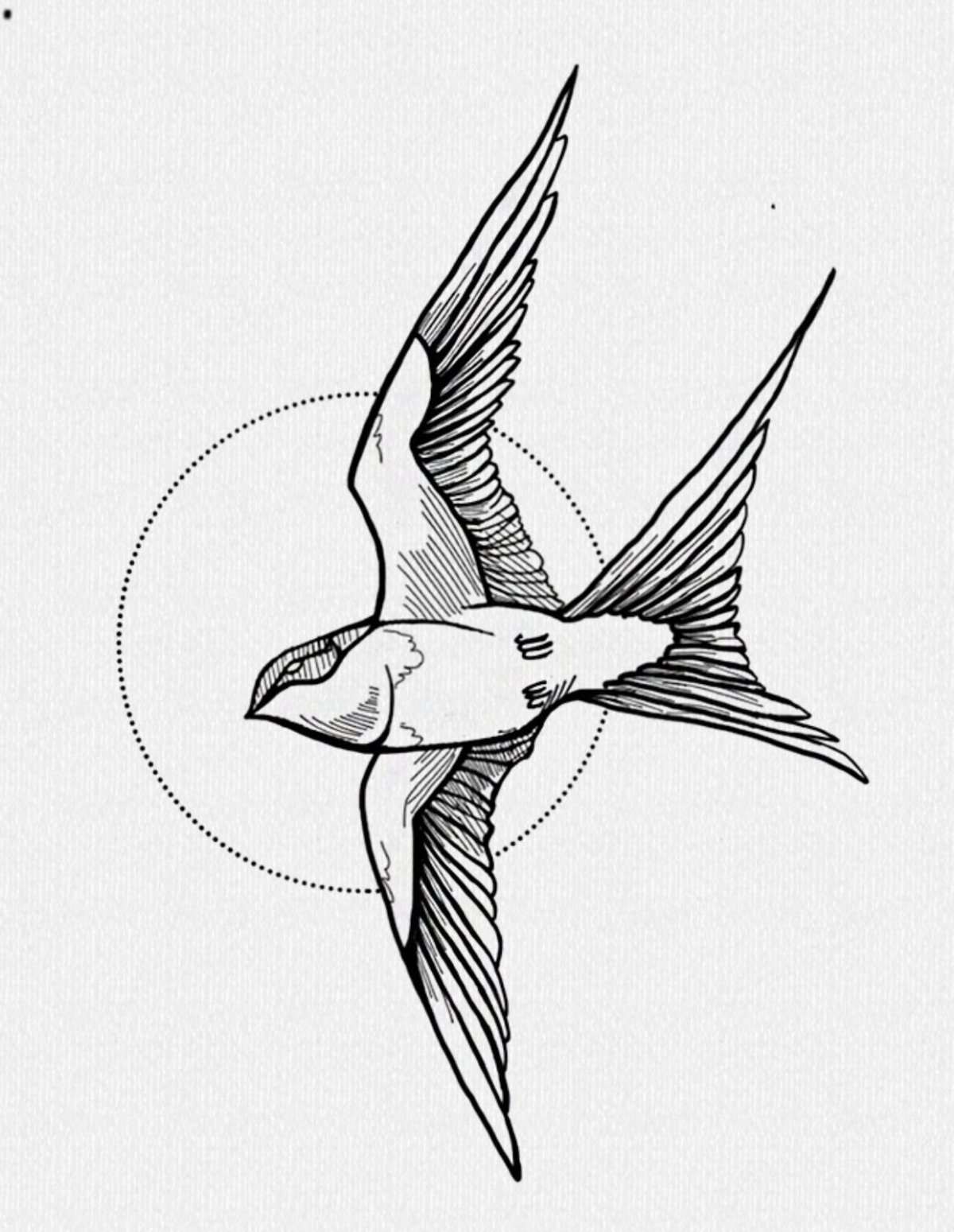Ласточка рисунок карандашом