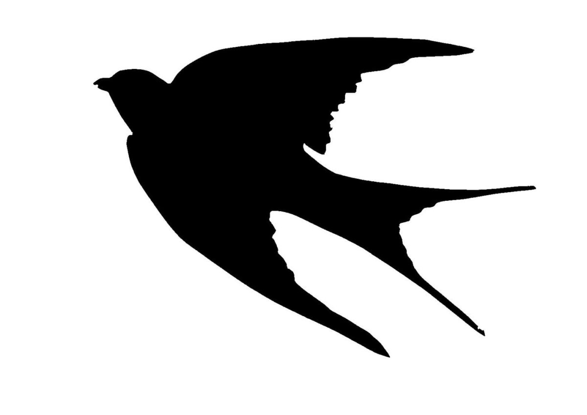 Силуэт птицы