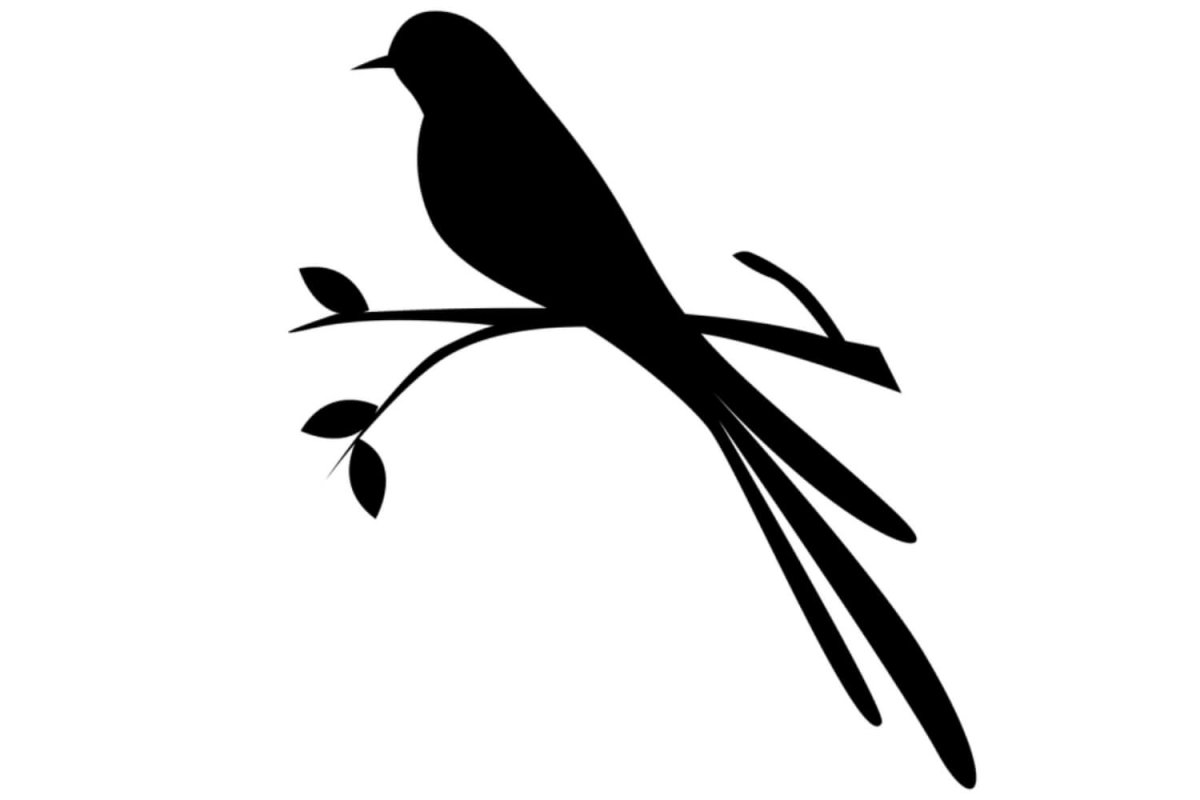 Трафарет птицы
