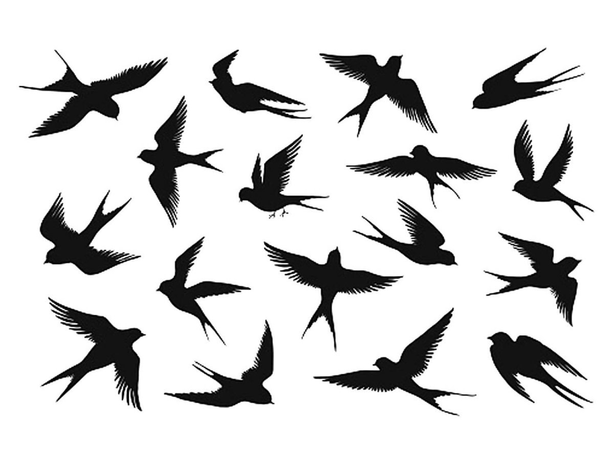 Силуэты птиц на белом фоне