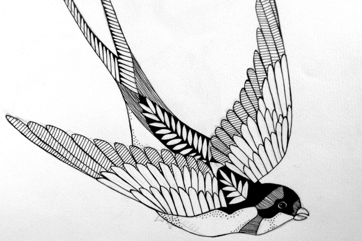 Ласточка тату эскиз