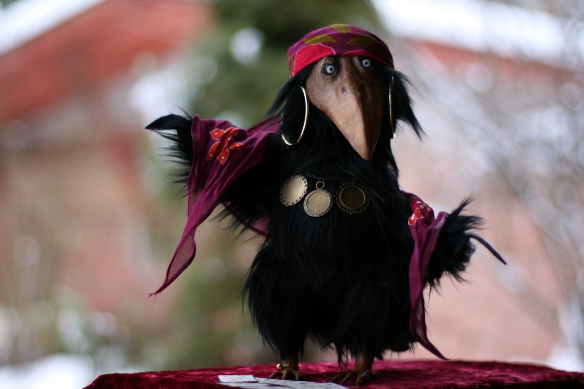 Ворон нарисованный