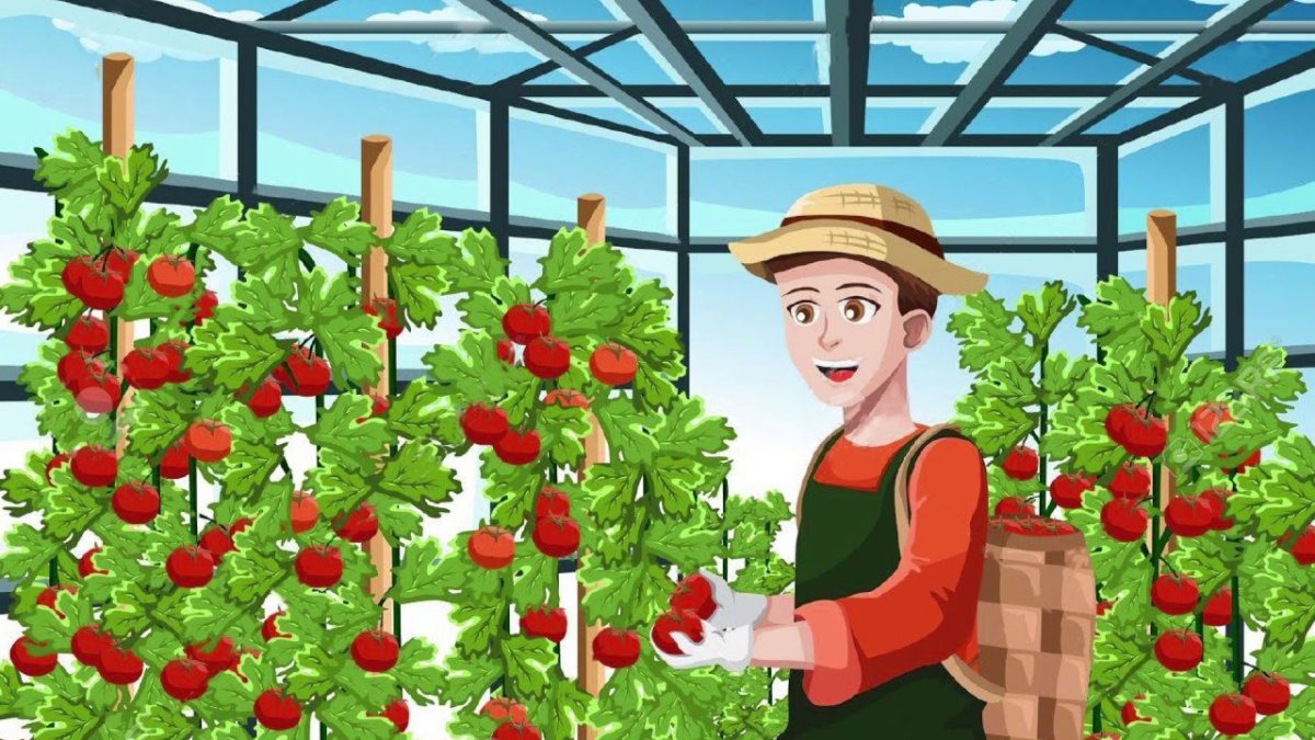 Овощевод для детей