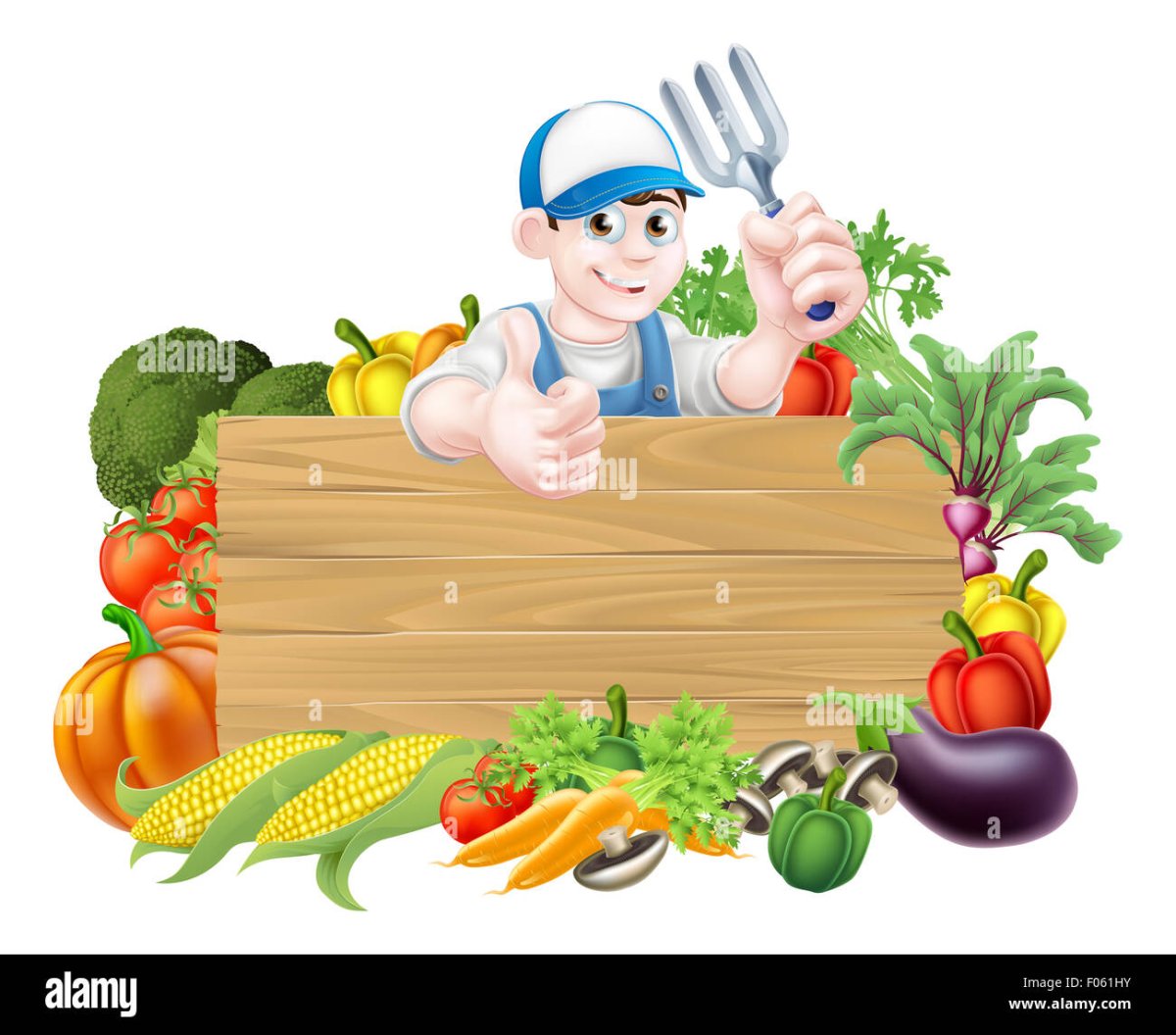 Таблички в огород для детей