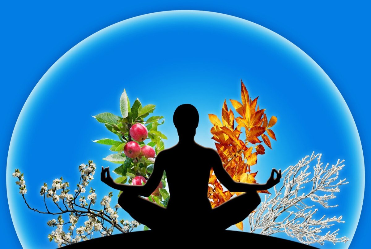 Гармония природы