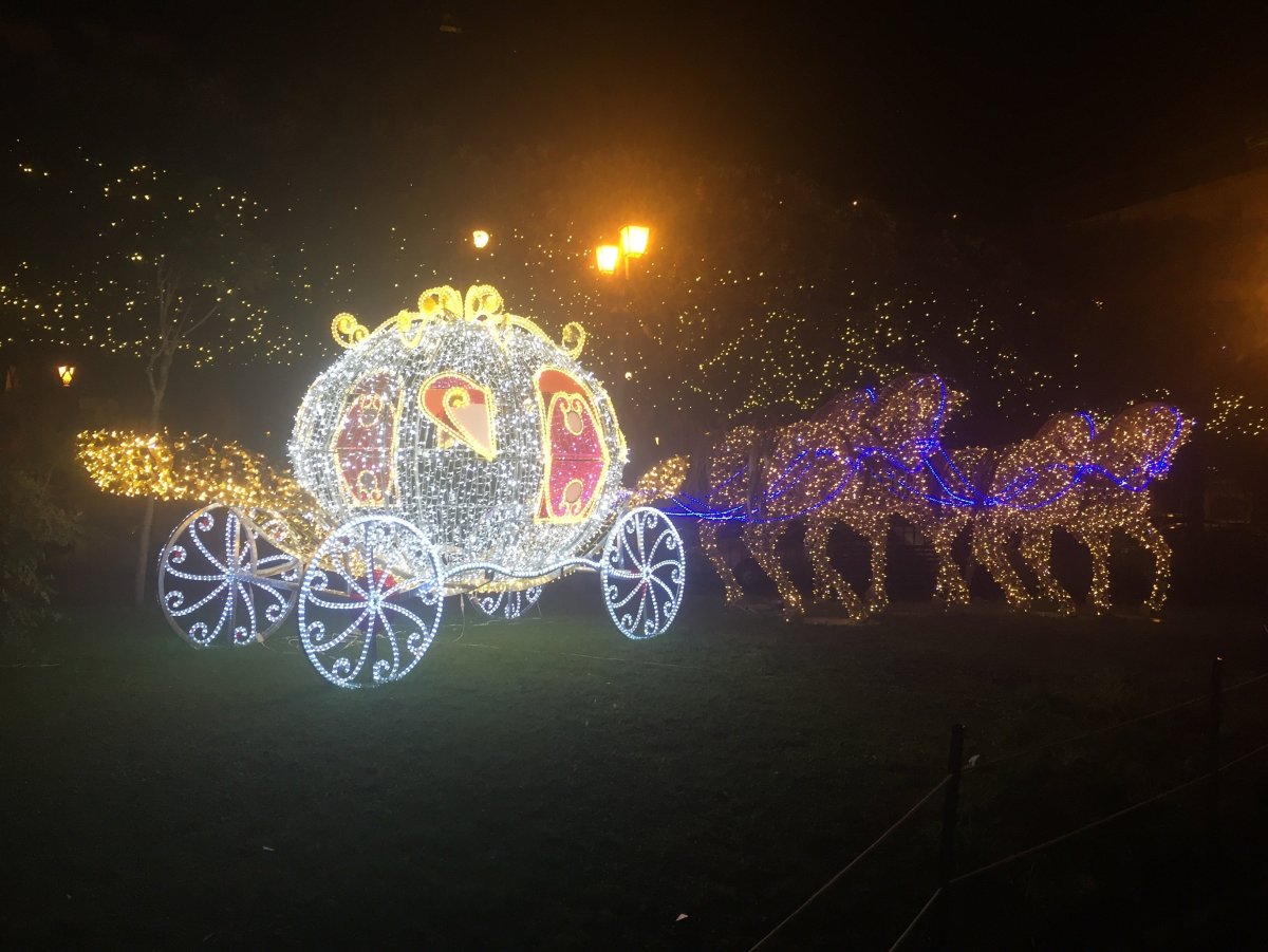 Волшебная карета Золушки