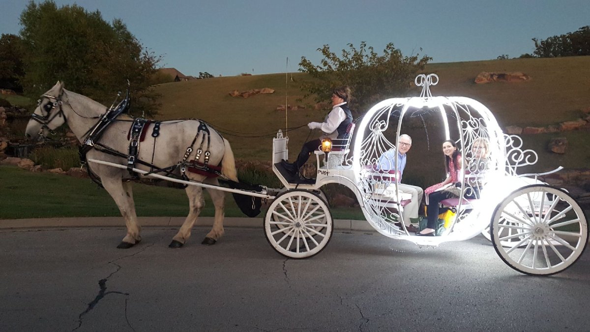 Красивая карета с лошадьми