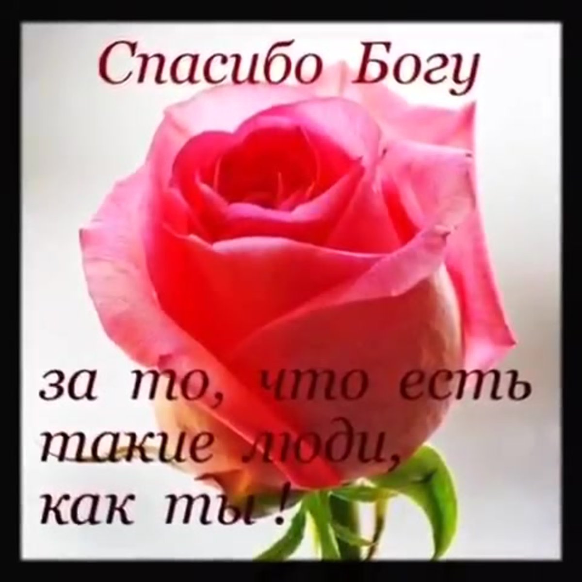 Поздравление Игорю