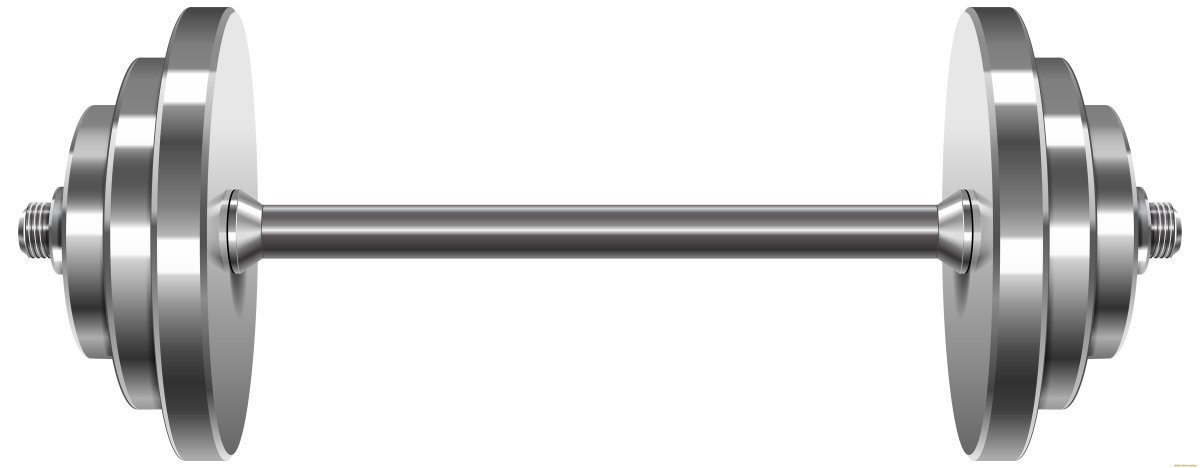 Штанга вектор