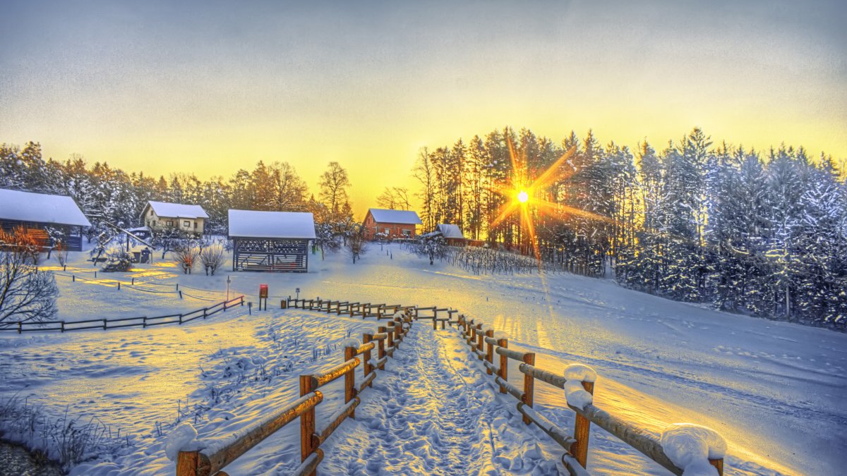 Афанасий Ломонос 31 января