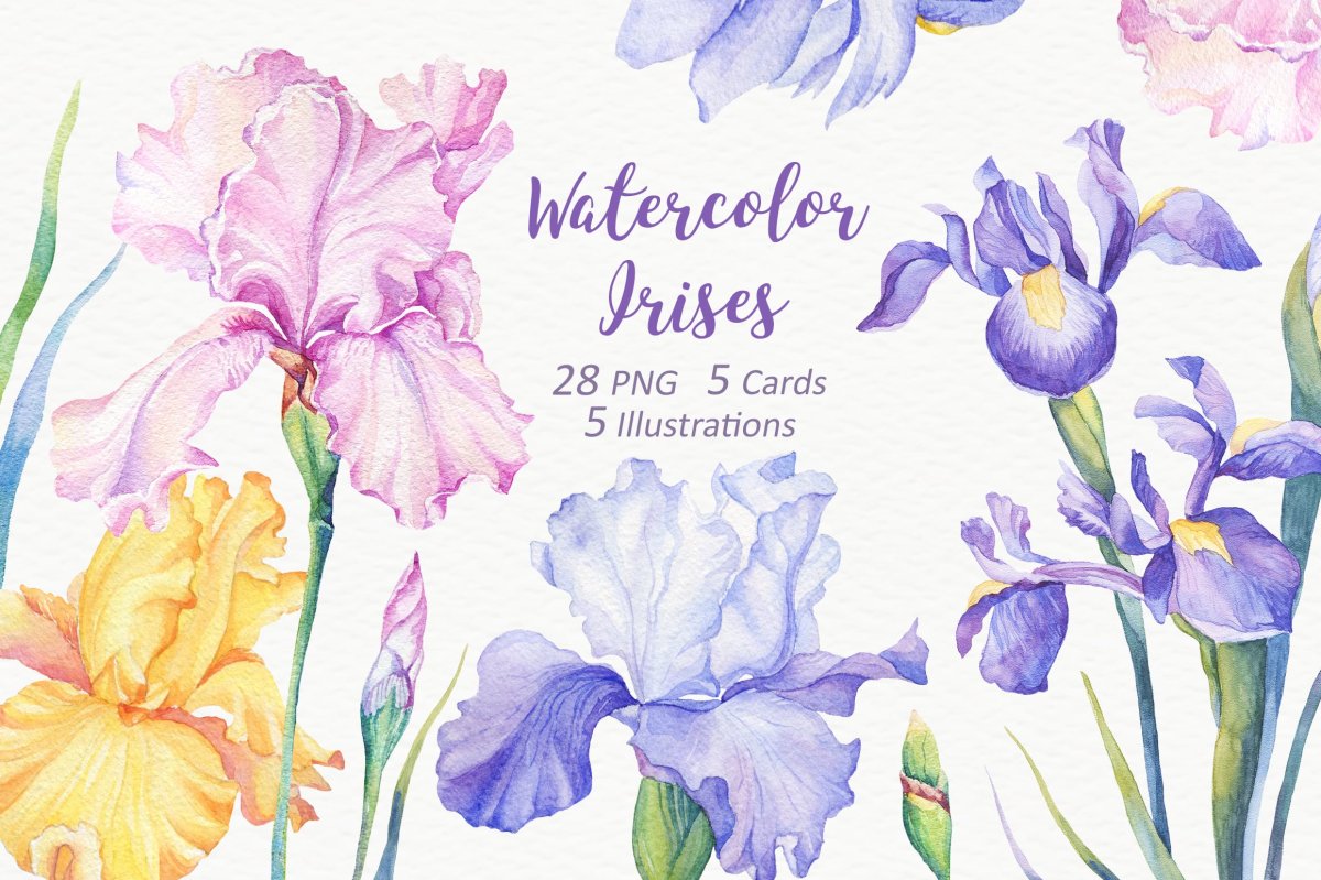 Живопись на холсте Белоснежка "нежные ирисы", 30 х 40 см