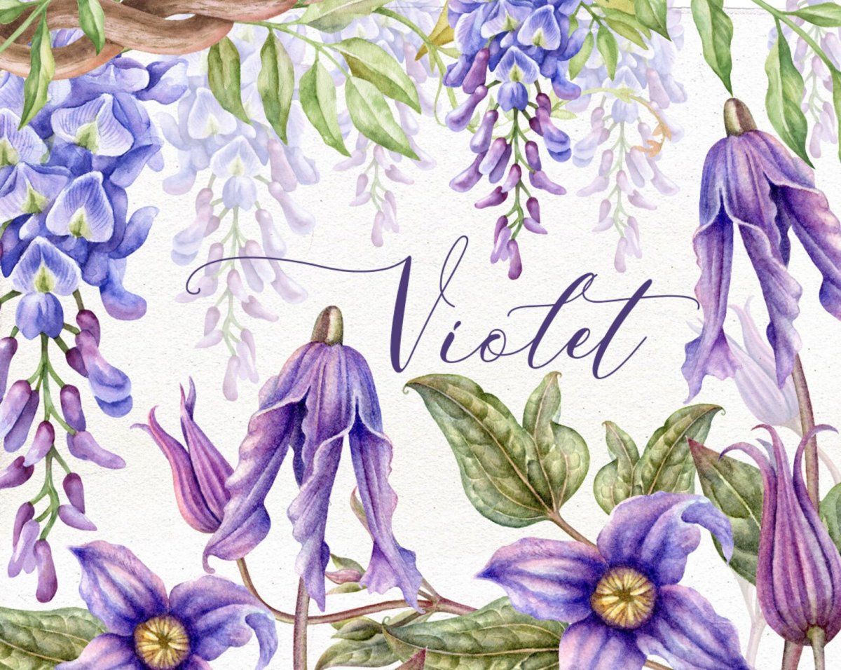 Клематис Витальба