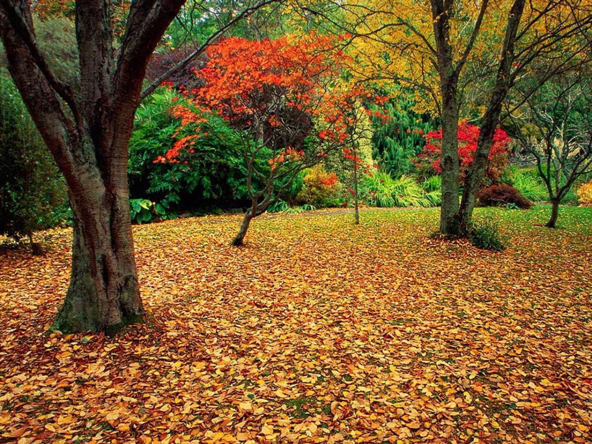 Антонио Вивальди осень