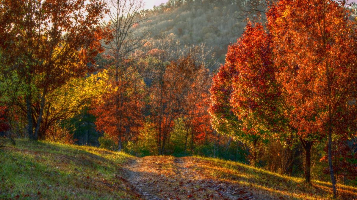 Осень на рабочий стол