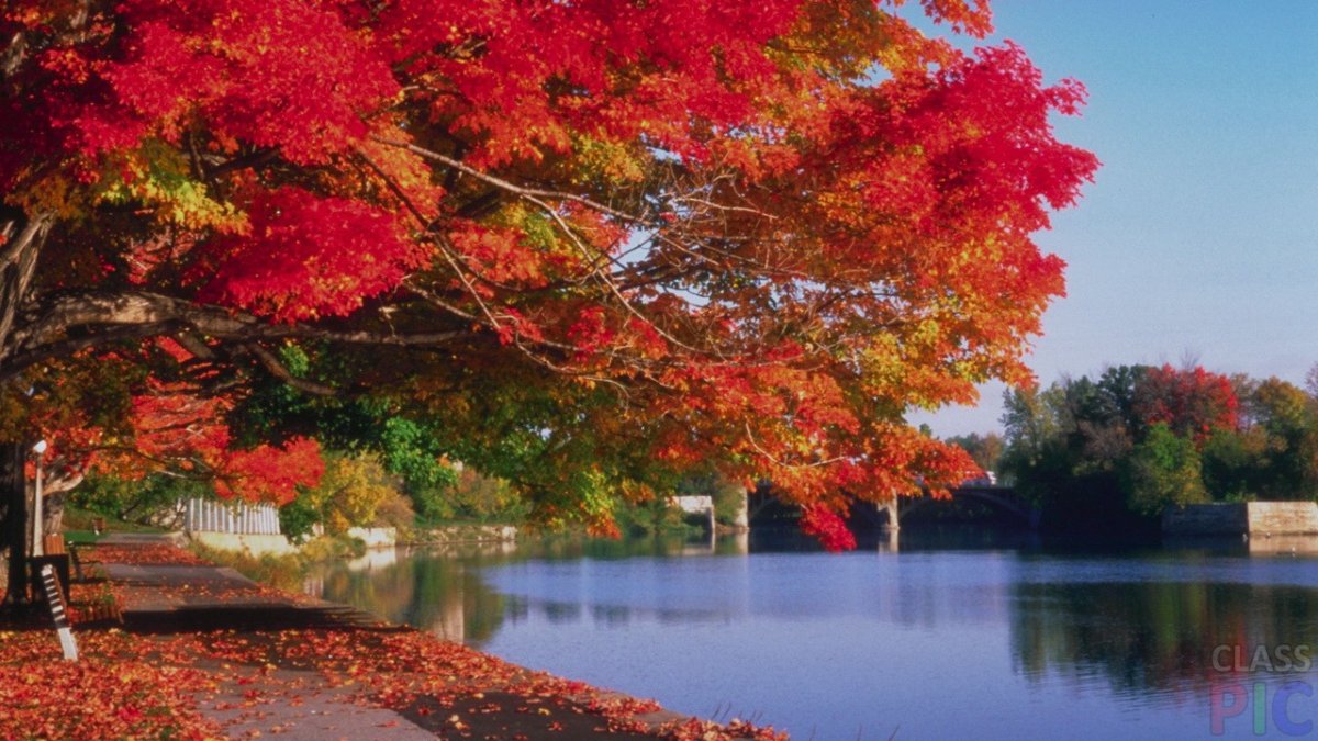 А. Вивальди. Из цикла «времена года».