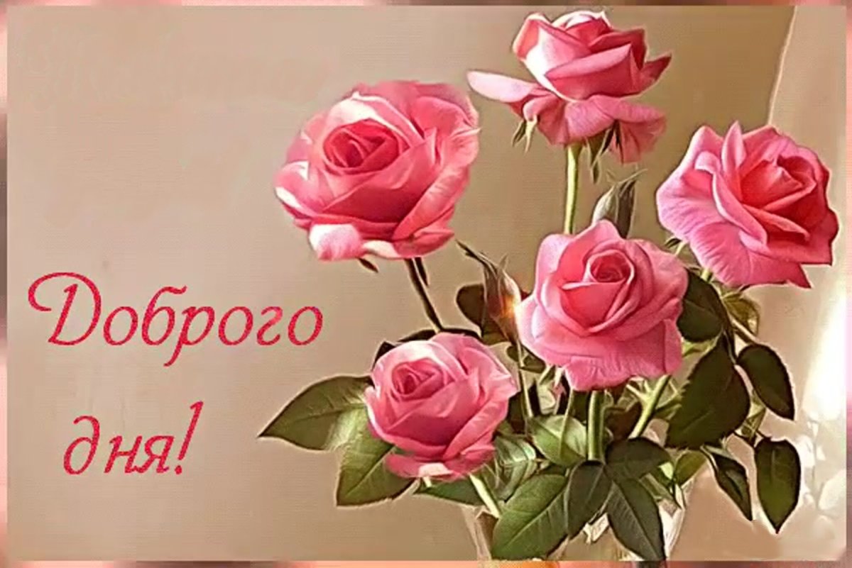 Доброе утро и отличного настроения