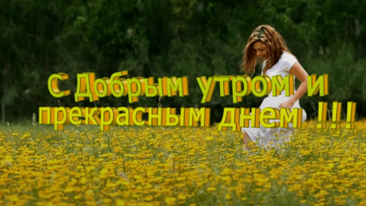 Жизнь прекрасна улыбнись с утра