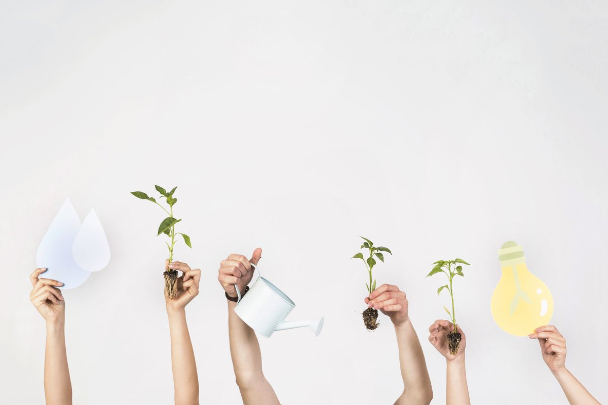 Экологические привычки