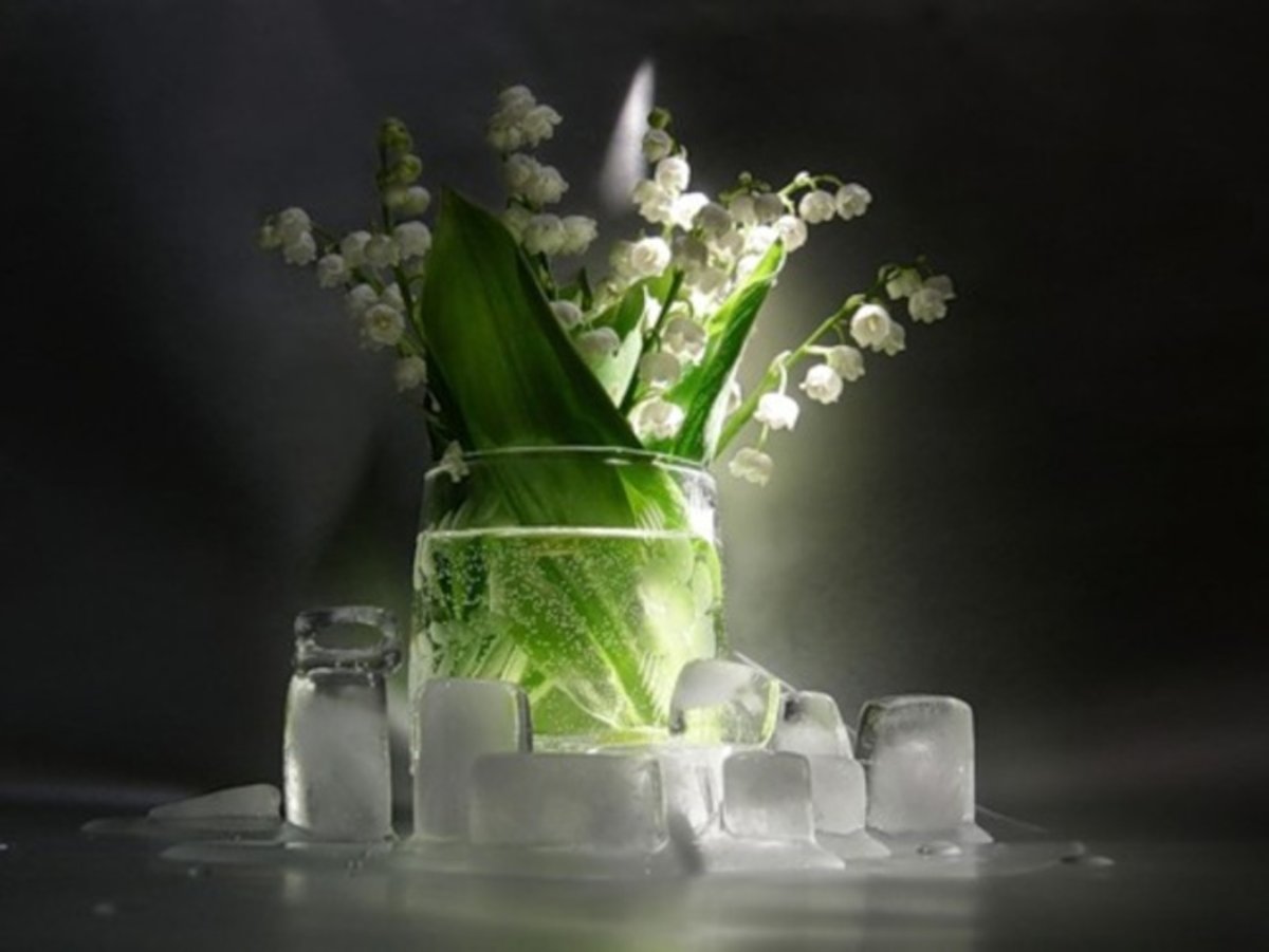 Доброй ночи с ландышами