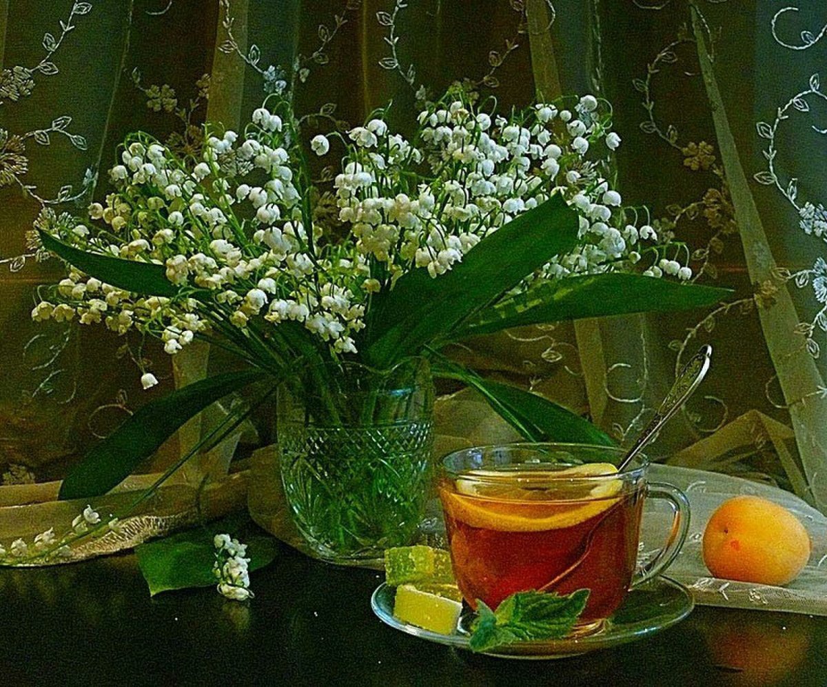 Доброе Майское Воскресное утро