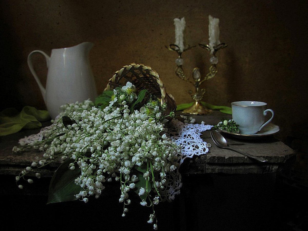 Натюрморт с гипсофилой