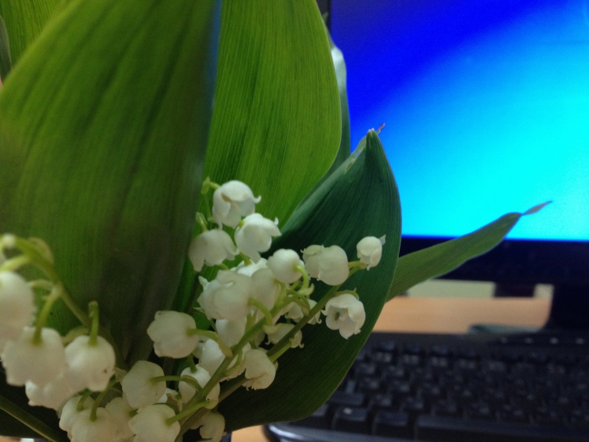 Искусственные Ландыши