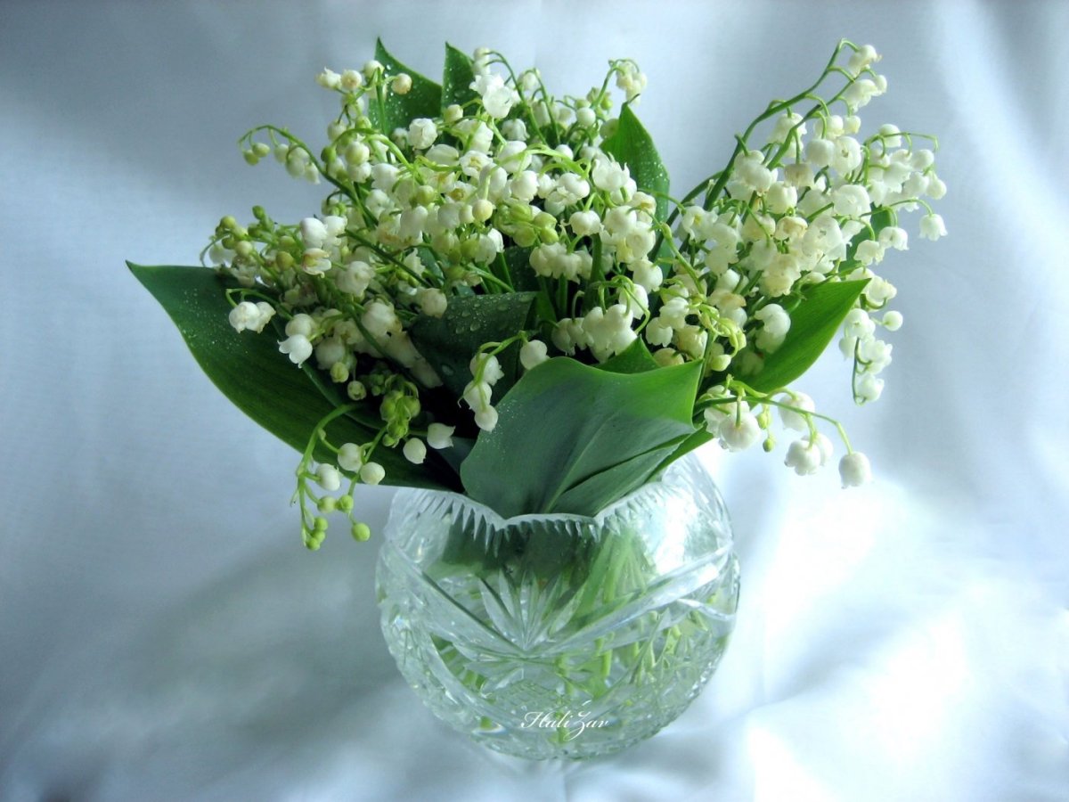 Ландыши и подснежники букет