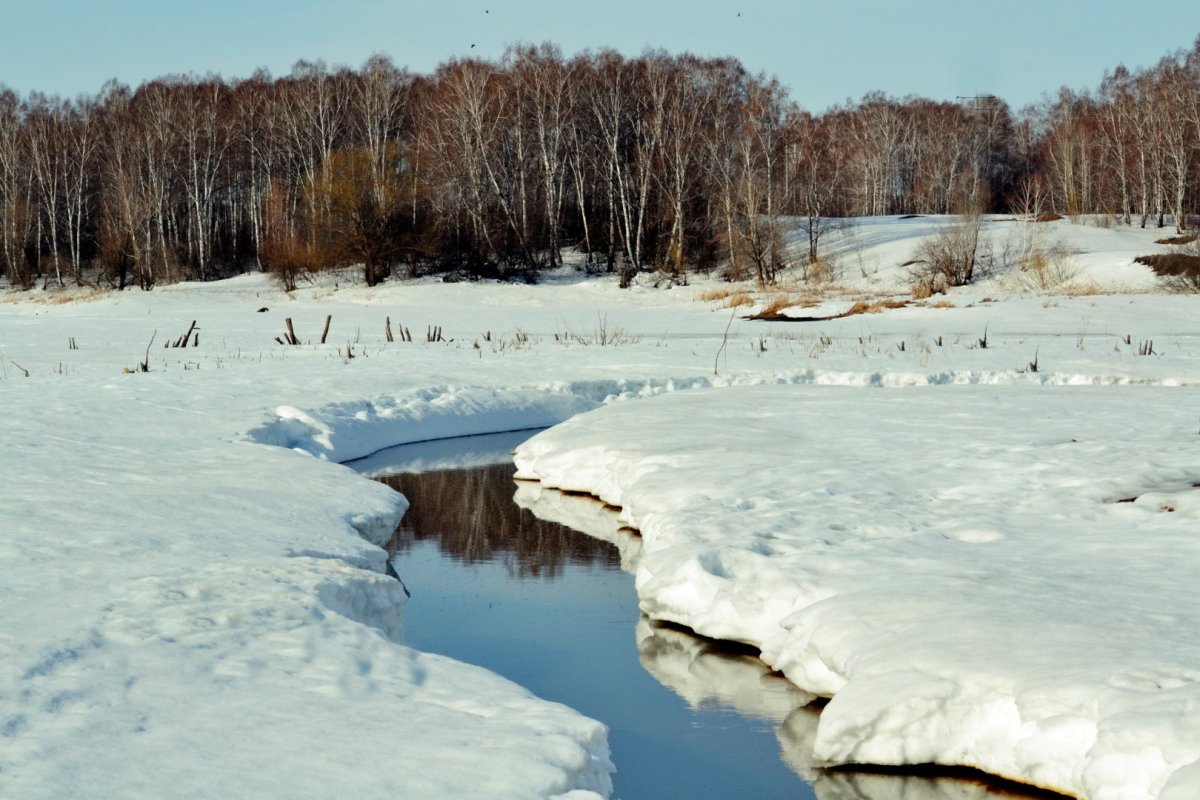 Ручейки снег Весна