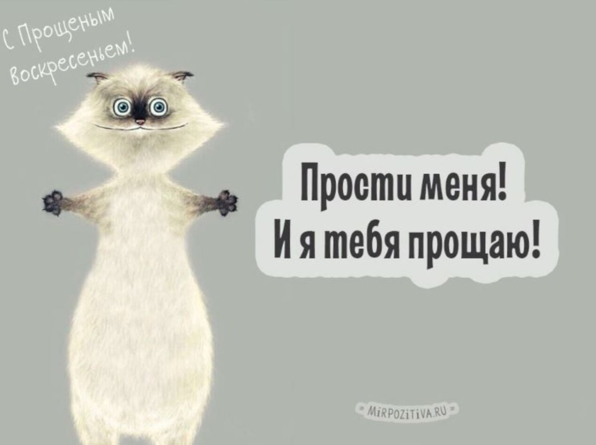 Открытки с прощённым воскресеньем прикольные