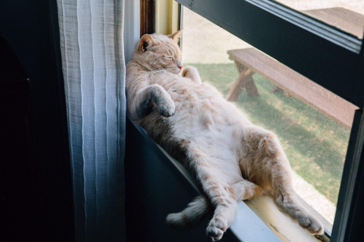 Человек отдыхает