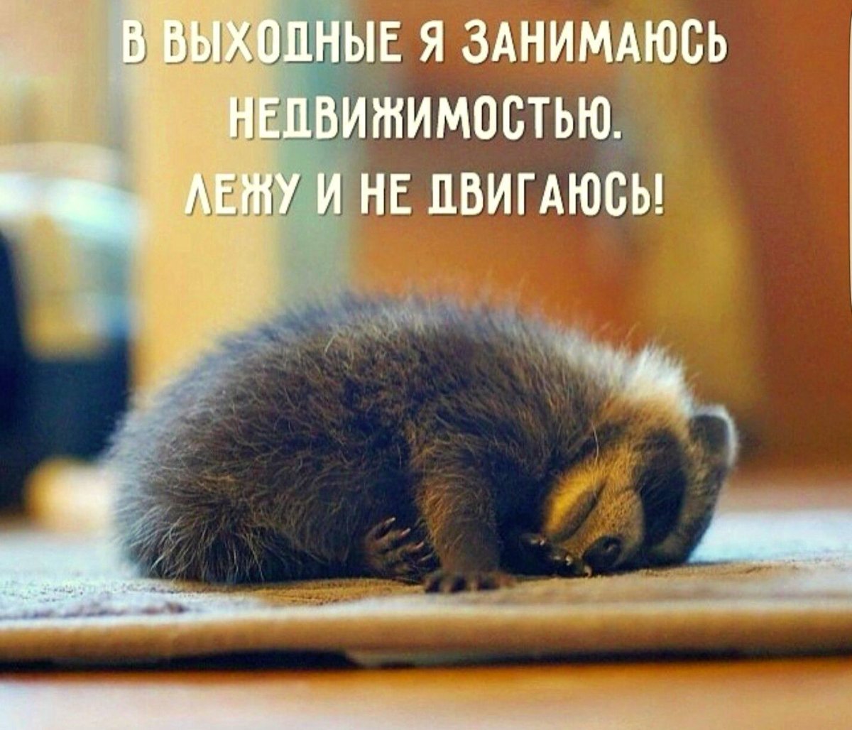 Среда пришла неделя прошла