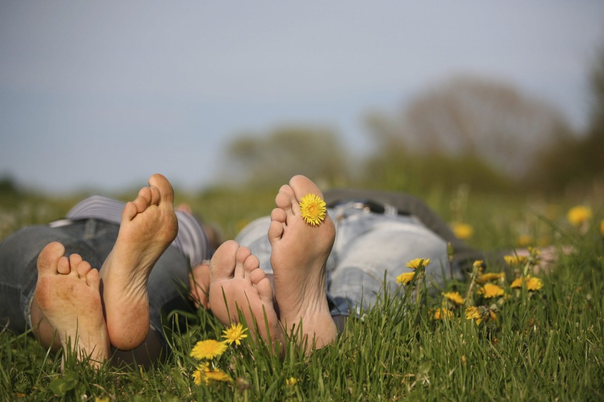 О пользе лени книга