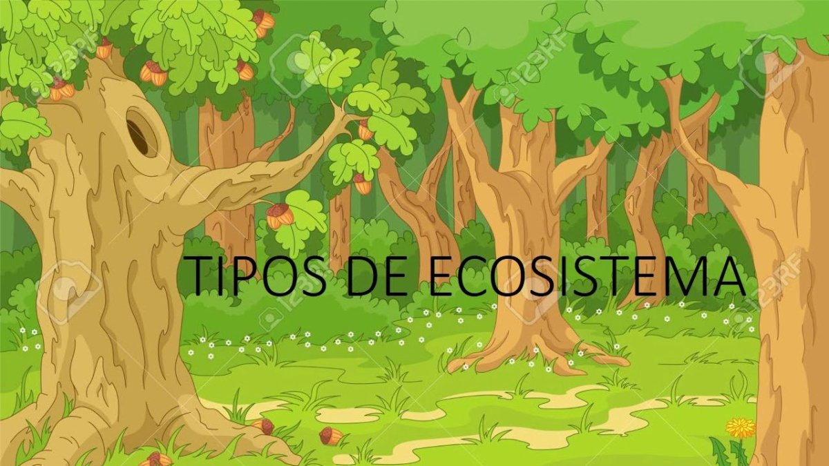 Сказочная Поляна с деревом