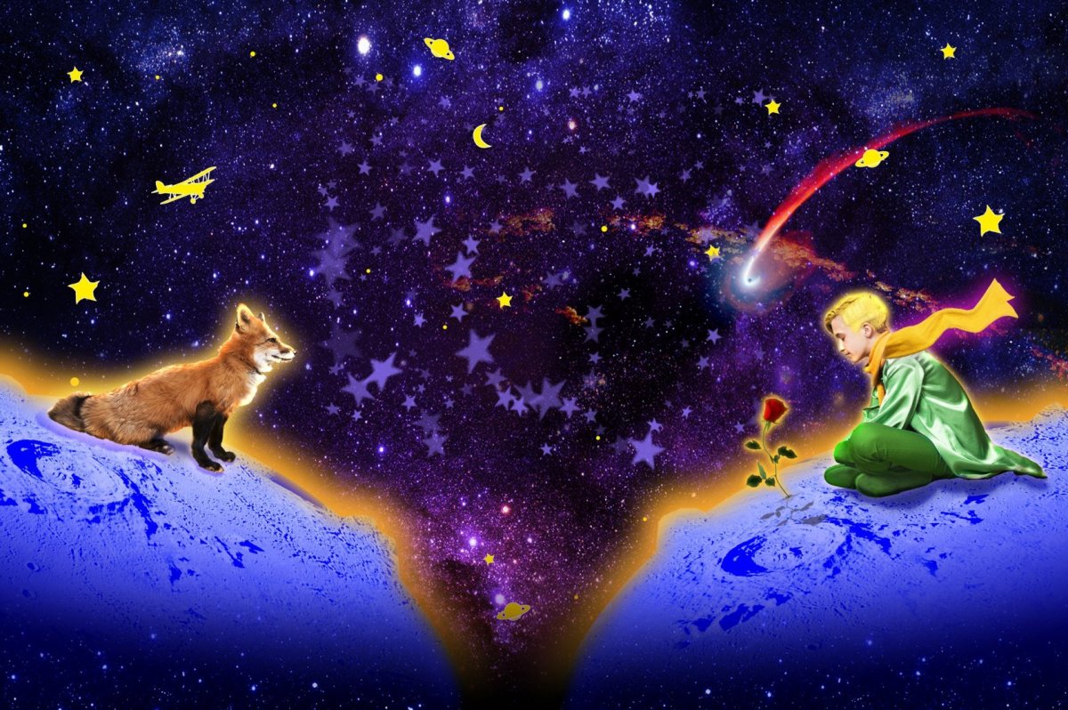 Маленький принц Лис и роза