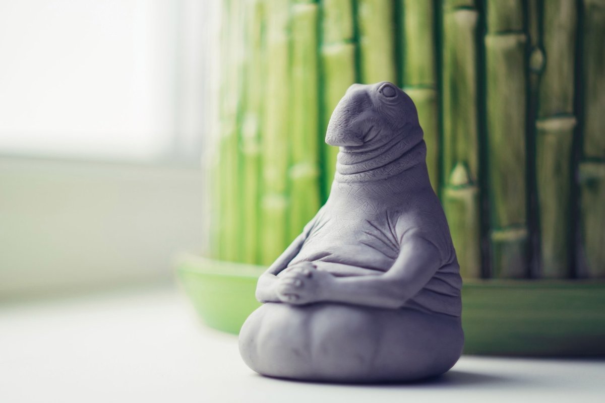 Собака Ждун