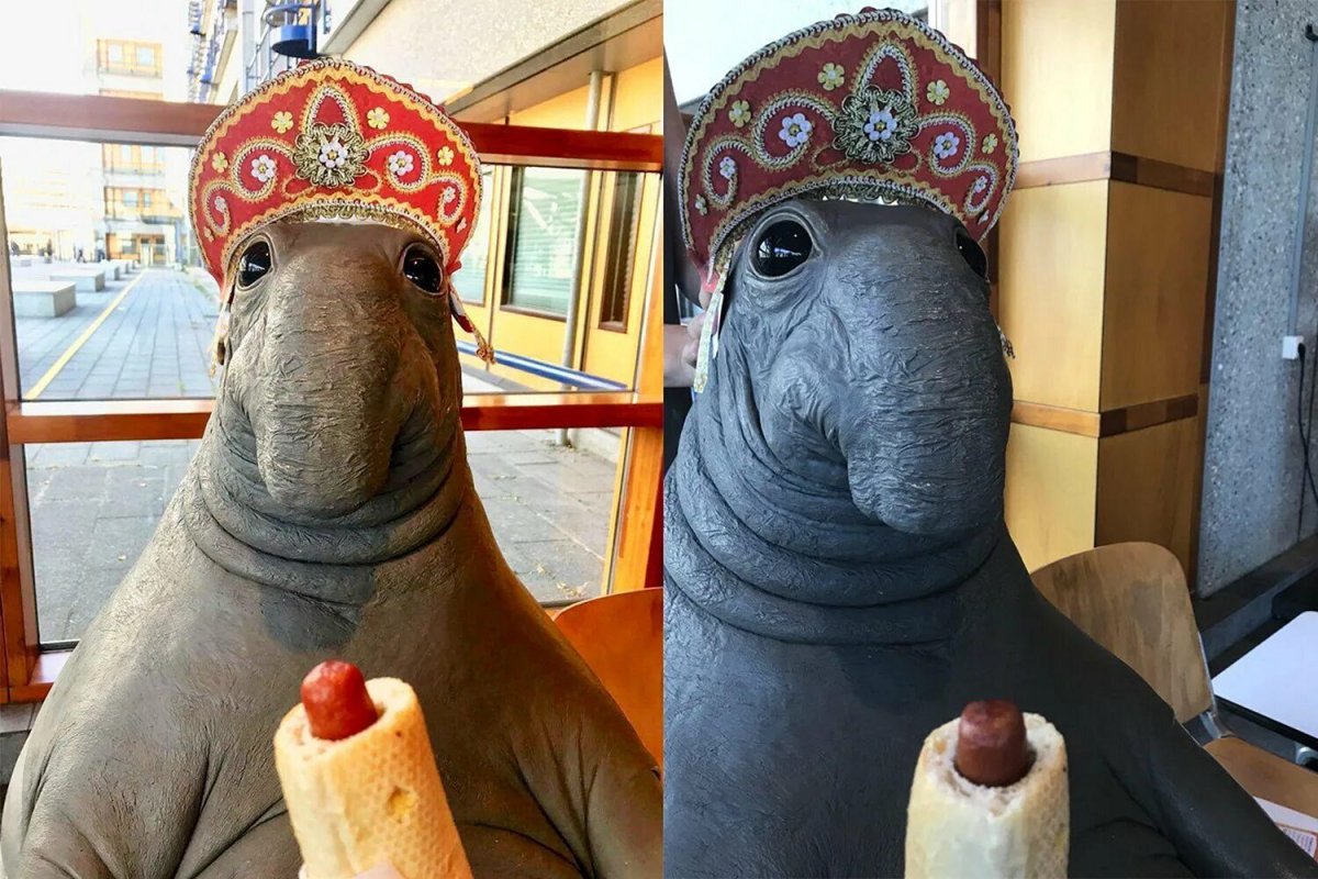 Красивый Ждун девочка