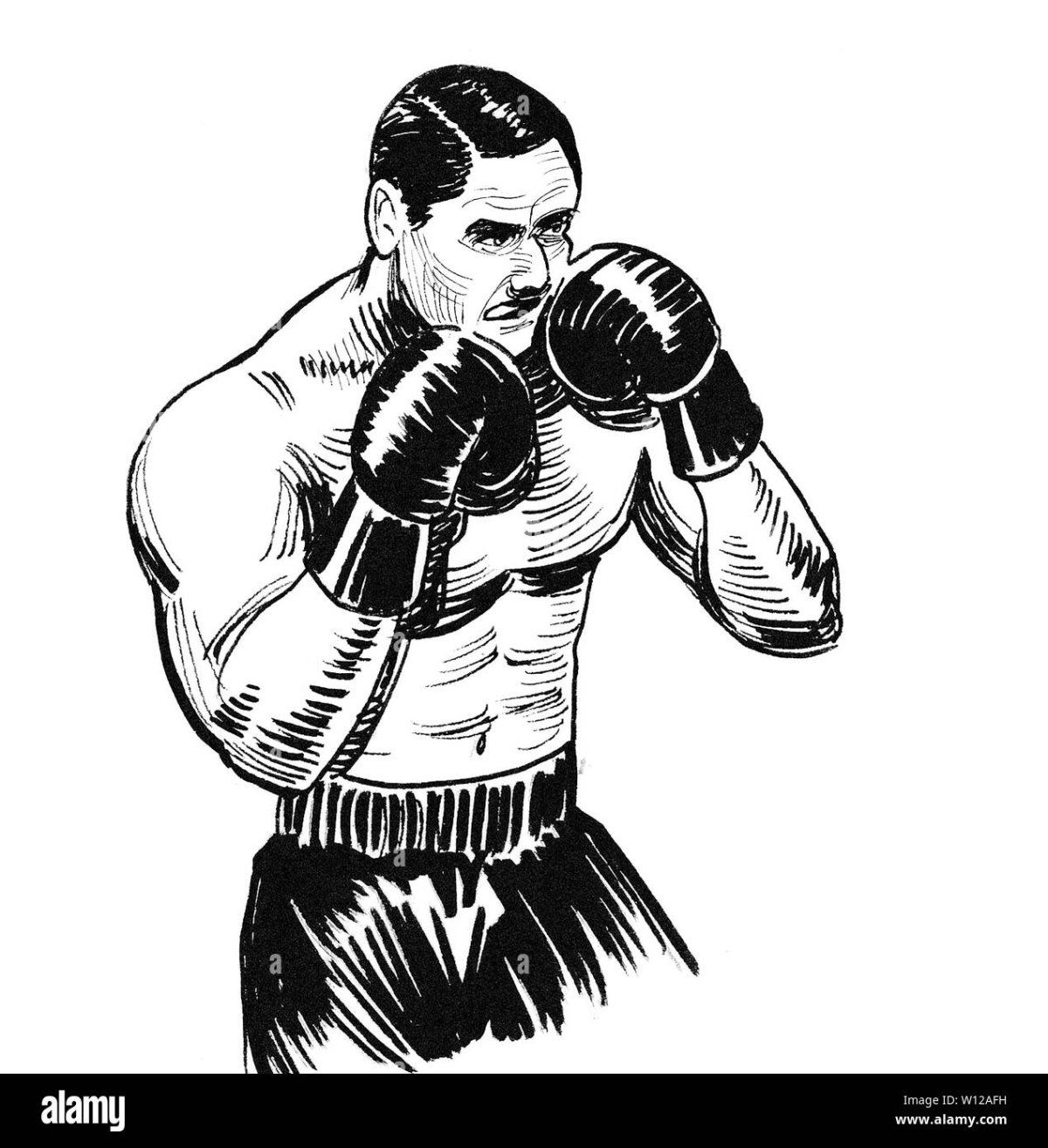 Боксер черно белый