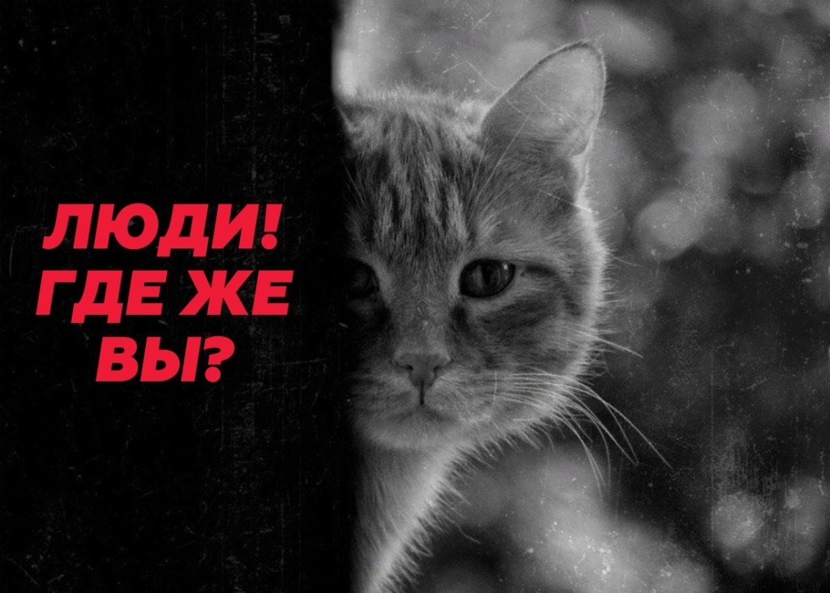 Грустно на душе